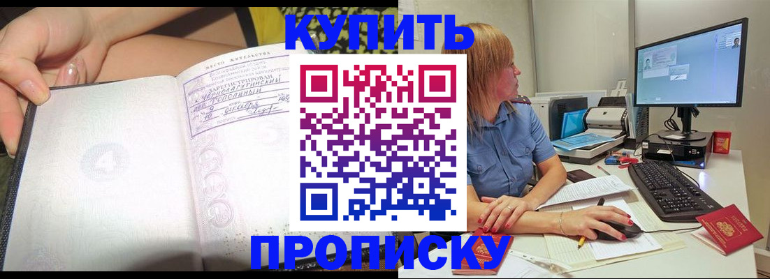 прописка поиск в Алейске